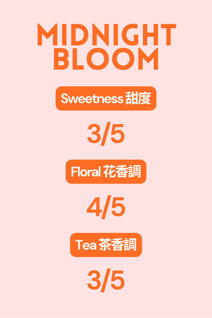 Midnight Bloom